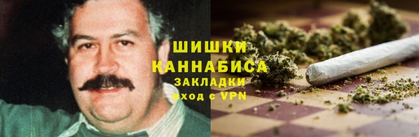 твердый Мегион