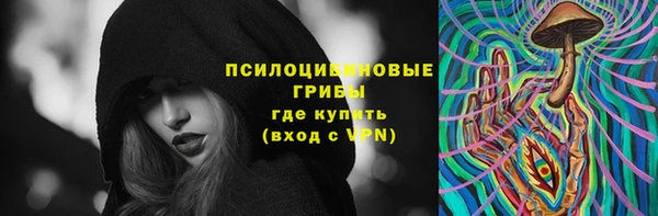 ПСИЛОЦИБИНОВЫЕ ГРИБЫ Медвежьегорск