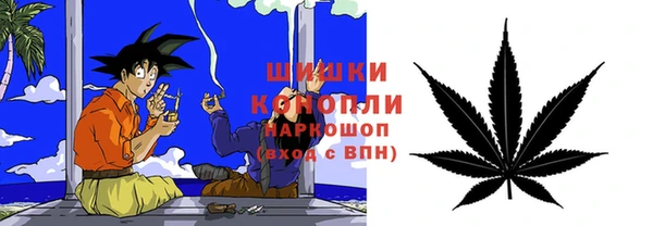 твердый Мегион