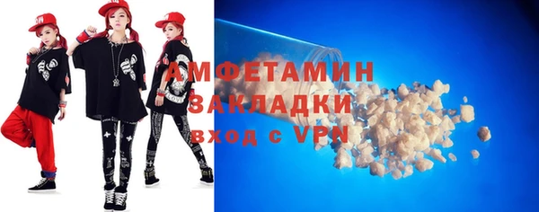прущие грибы Медногорск