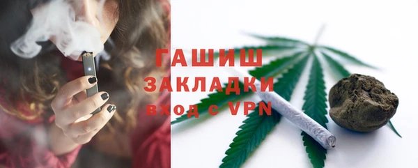 прущие грибы Медногорск