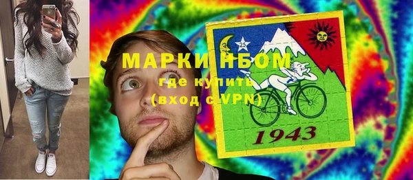 ПСИЛОЦИБИНОВЫЕ ГРИБЫ Медвежьегорск