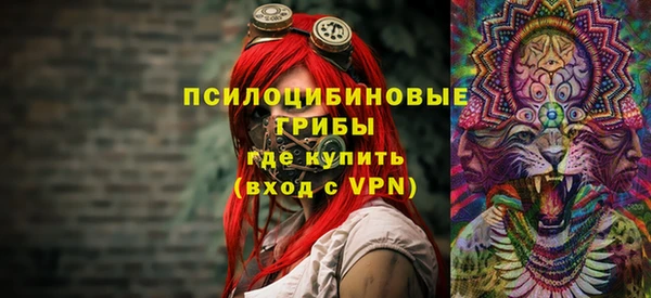 ПСИЛОЦИБИНОВЫЕ ГРИБЫ Медвежьегорск