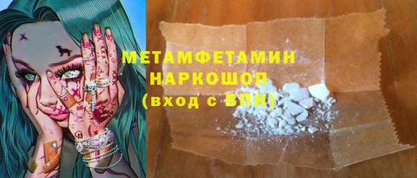 прущие грибы Медногорск