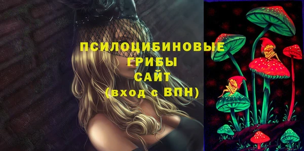 прущие грибы Медногорск