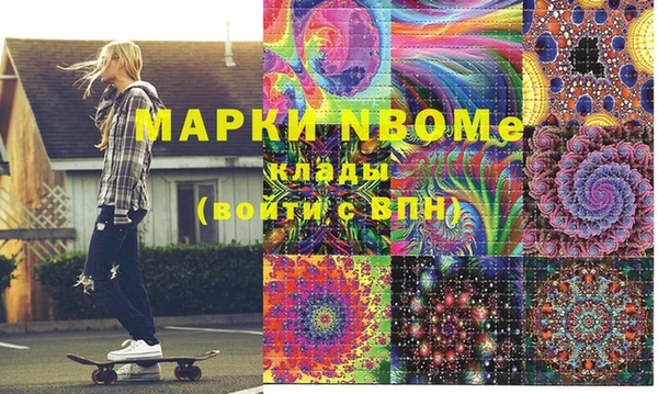 прущие грибы Медногорск