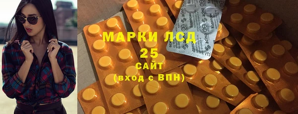 твердый Мегион