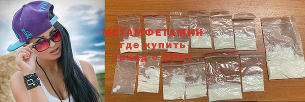 прущие грибы Медногорск